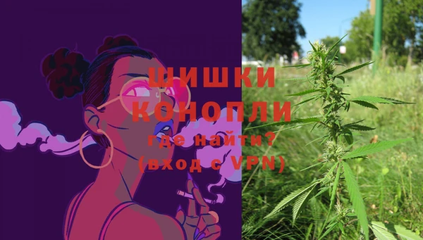 твердый Мегион