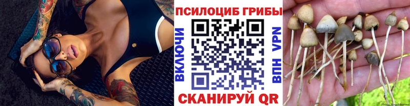Галлюциногенные грибы MAGIC MUSHROOMS  где купить   Красногорск 
