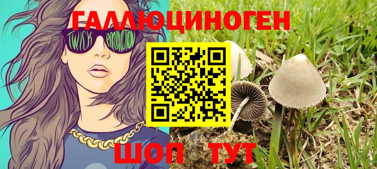 Галлюциногенные грибы GOLDEN TEACHER Красногорск