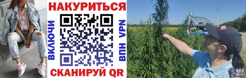 наркота  Красногорск  МАРИХУАНА LSD WEED 