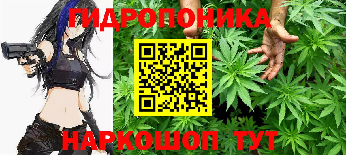 Шишки марихуана Ganja  Бошки марихуана марихуана  Вход с VPN  Красногорск  Бошки Шишки план 